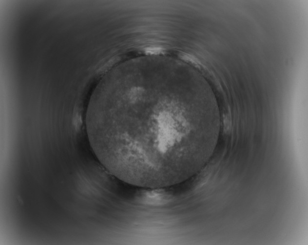 X0000090730618200707201410