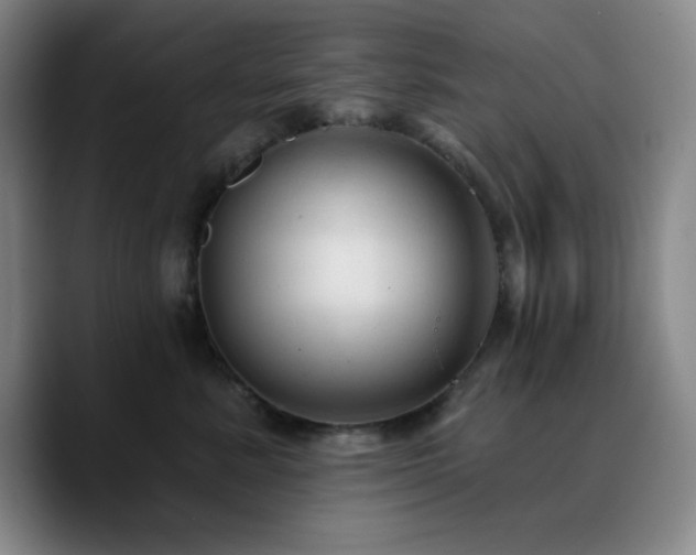 X0000090730619200707201410