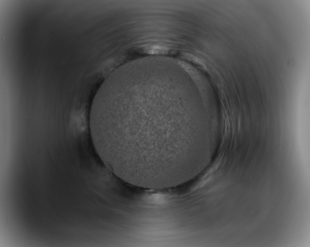 X0000090730620200707201410