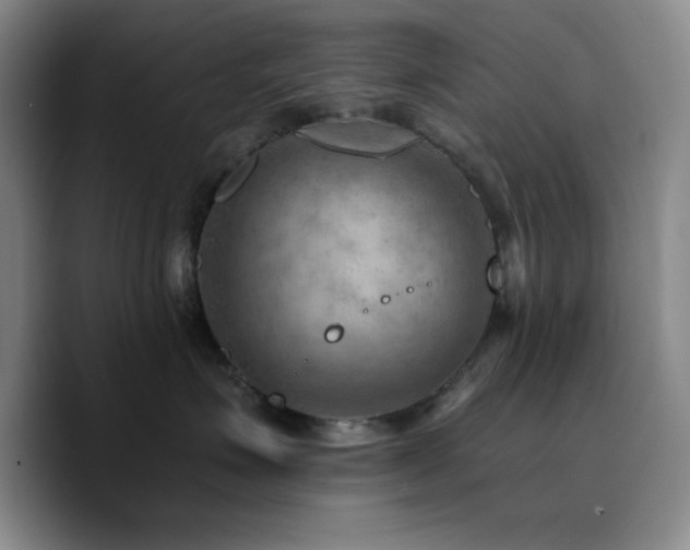 X0000090730623200707201410