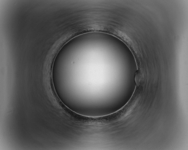 X0000090730625200707201409