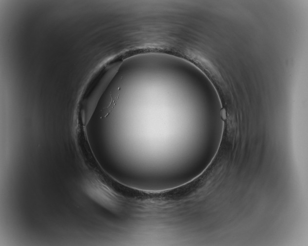 X0000090730628200707201409