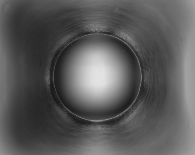 X0000090730629200707201409