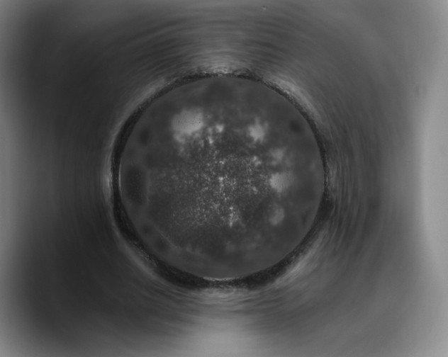 X0000090730630200707201409