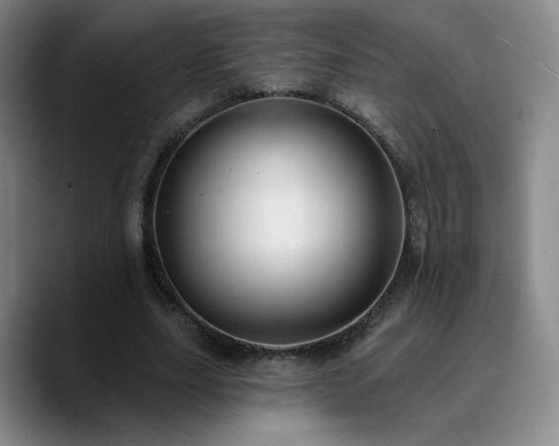 X0000090730631200707201409