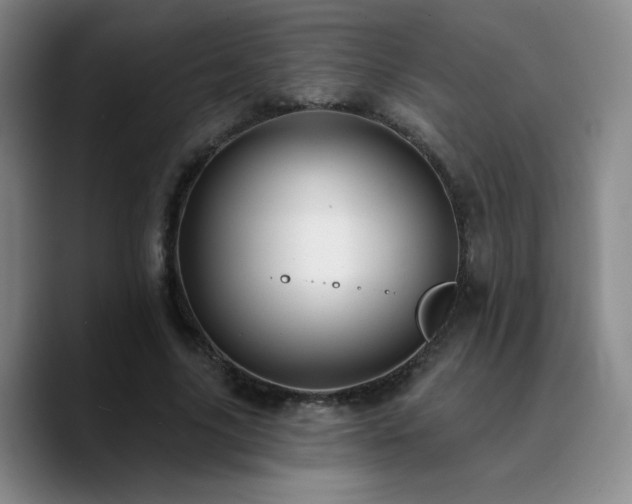X0000090730635200707201409