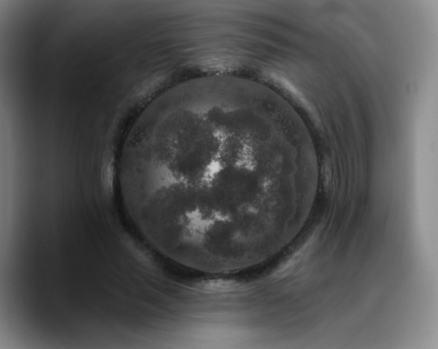X0000090730637200707201409
