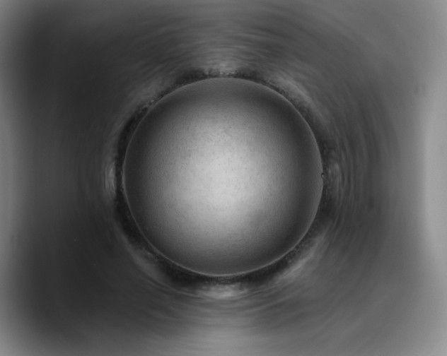 X0000090730638200707201409