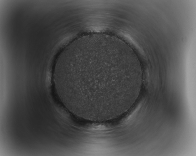 X0000090730640200707201409