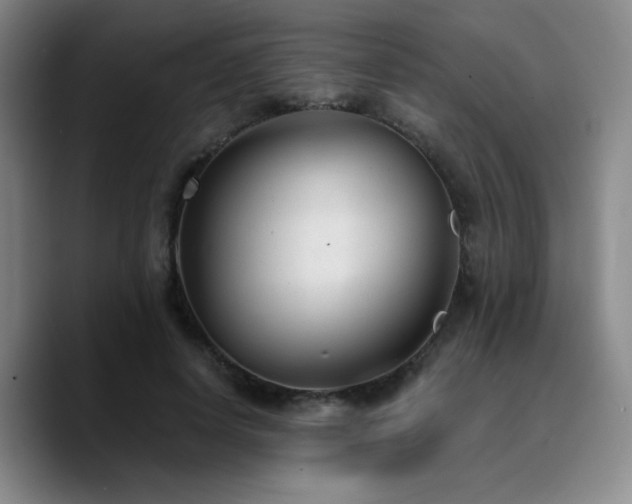 X0000090730642200707201409
