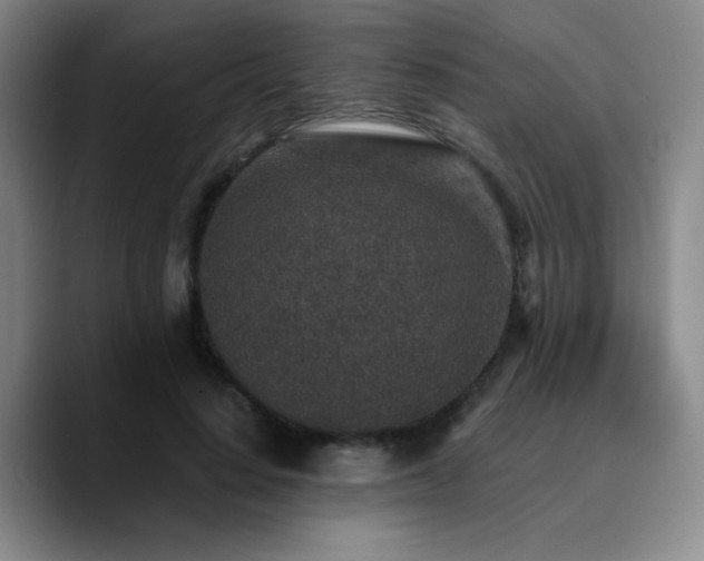 X0000090730644200707201409