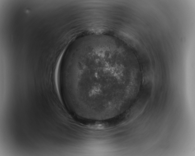 X0000090730647200707201409