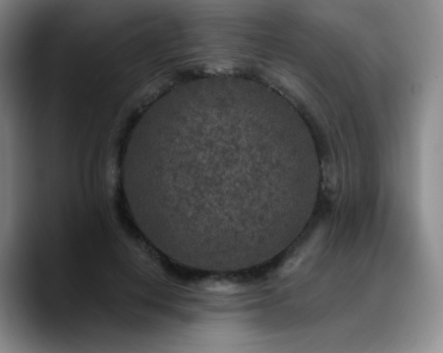 X0000090730648200707201409