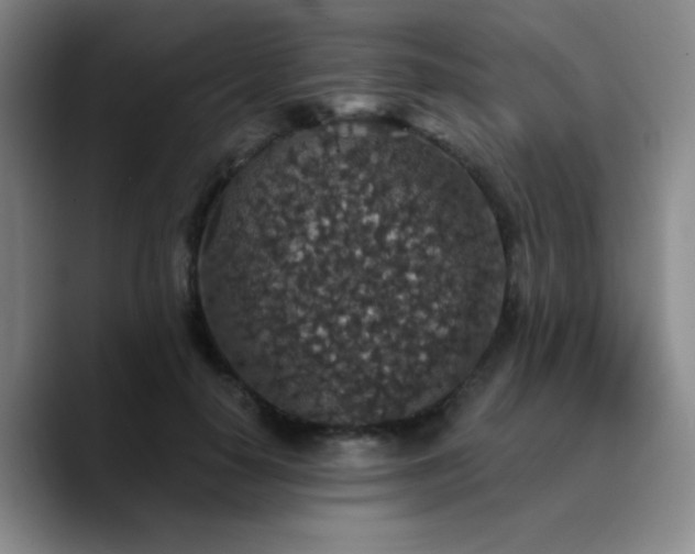 X0000090730650200707201409