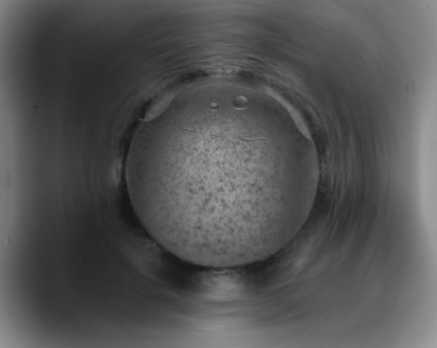 X0000090730652200707201410