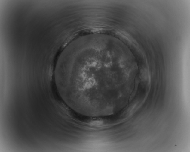 X0000090730653200707201410