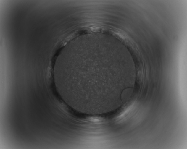 X0000090730654200707201410