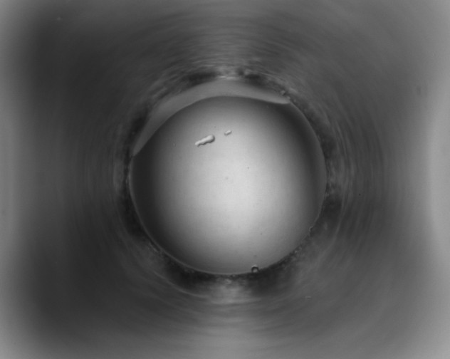 X0000090730656200707201410