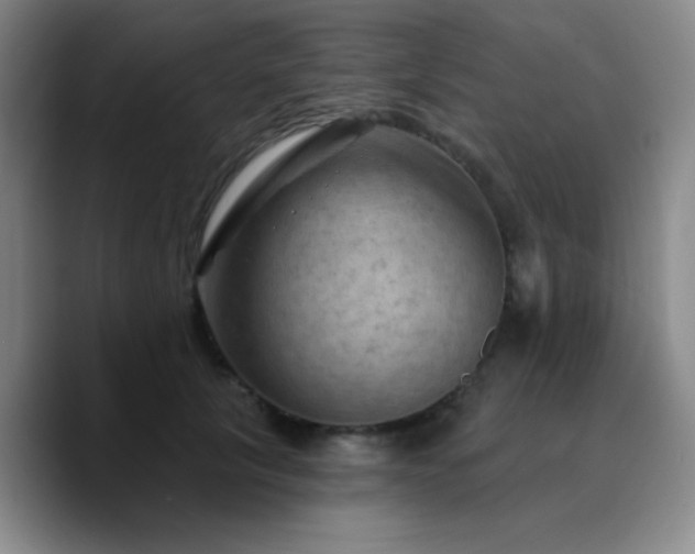 X0000090730657200707201410