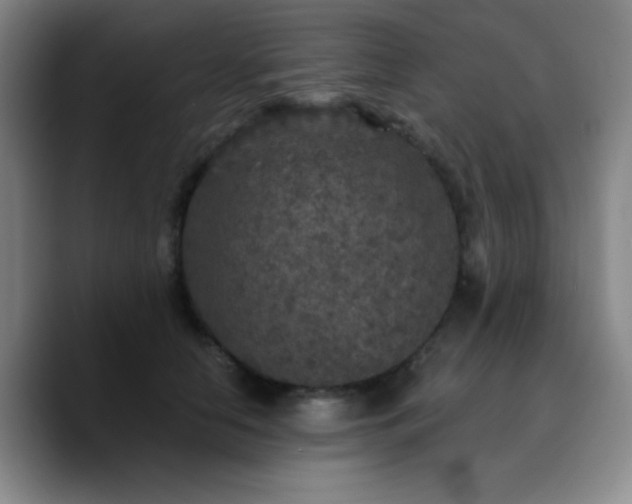 X0000090730658200707201410