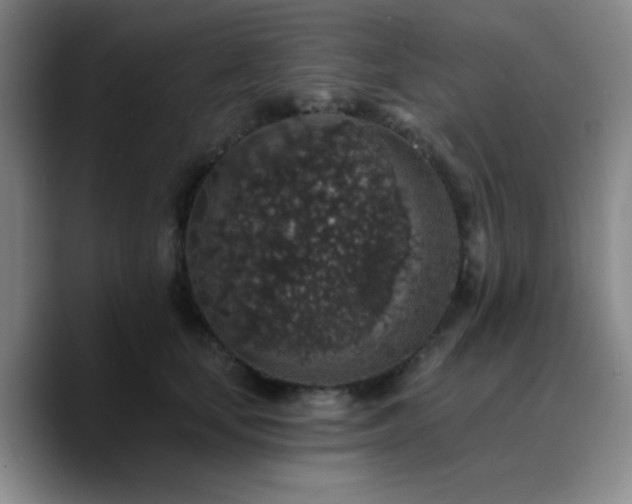 X0000090730659200707201410