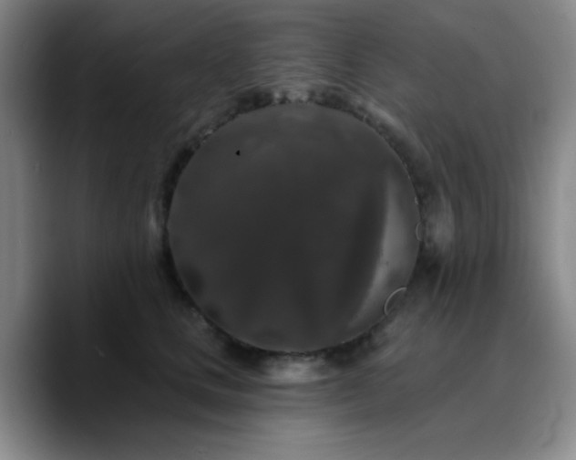 X0000090730661200707201410
