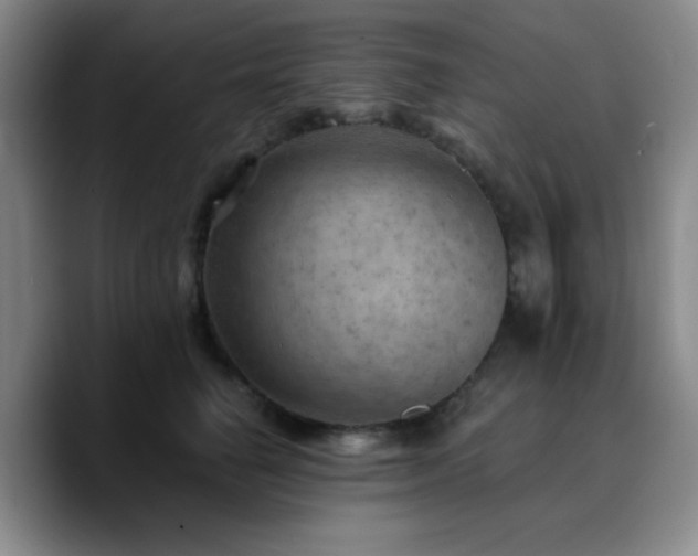 X0000090730662200707201410