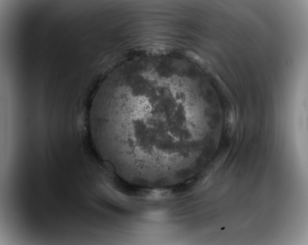X0000090730663200707201410