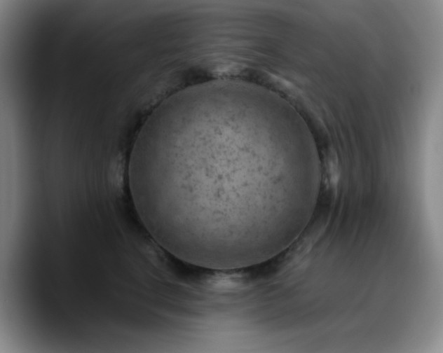 X0000090730664200707201410