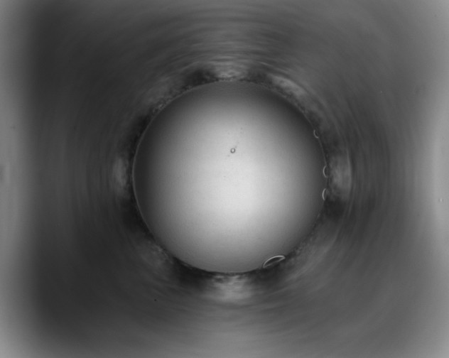 X0000090730667200707201410