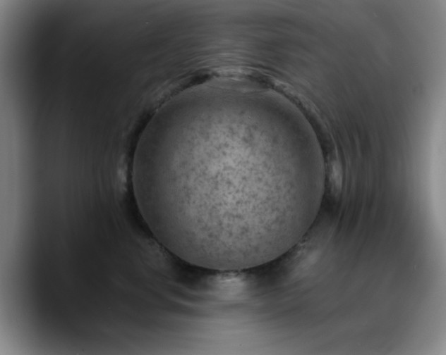 X0000090730668200707201410