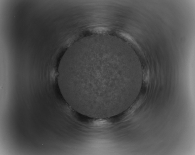 X0000090730669200707201410