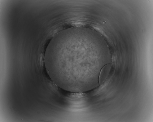 X0000090730671200707201410