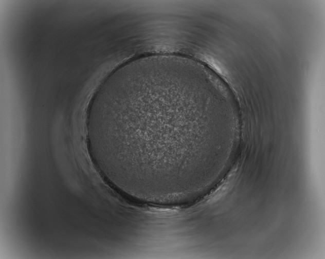 X0000090730673200707201409