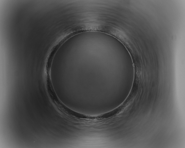 X0000090730674200707201409