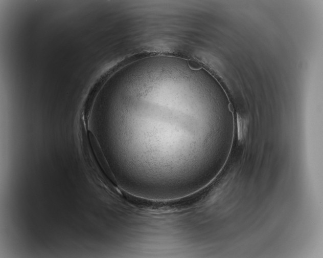 X0000090730675200707201409