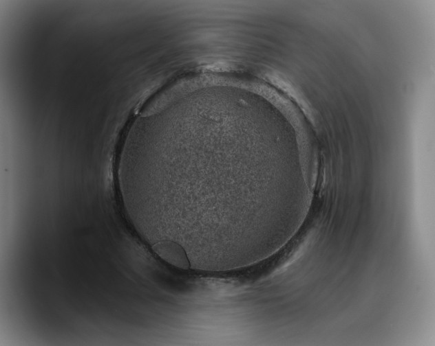 X0000090730681200707201409