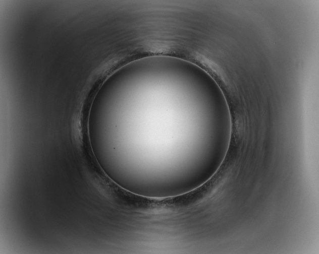 X0000090730682200707201409