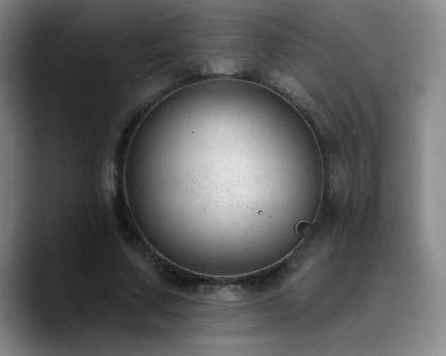 X0000090730683200707201409