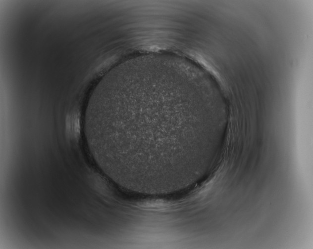 X0000090730685200707201409