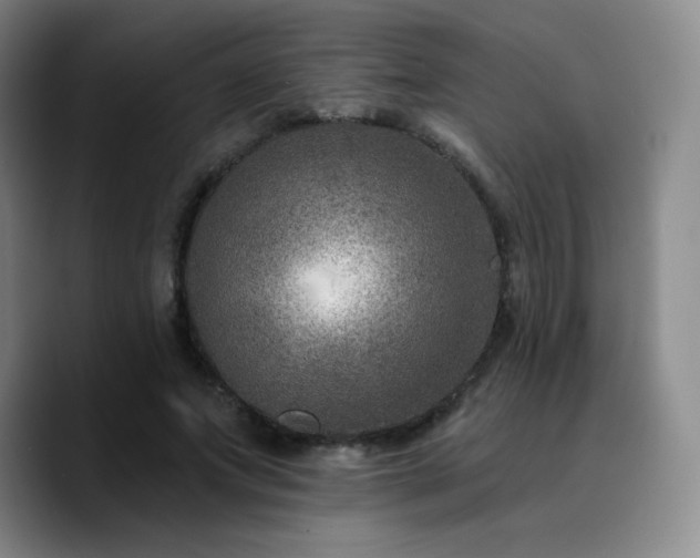 X0000090730687200707201409