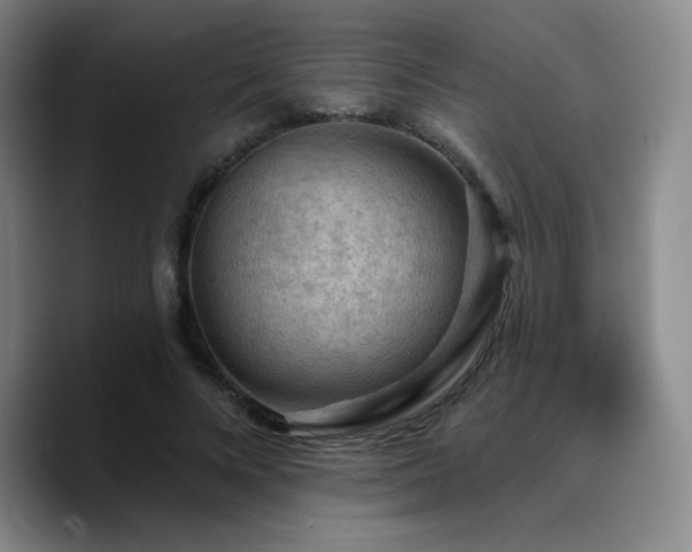 X0000090730688200707201409