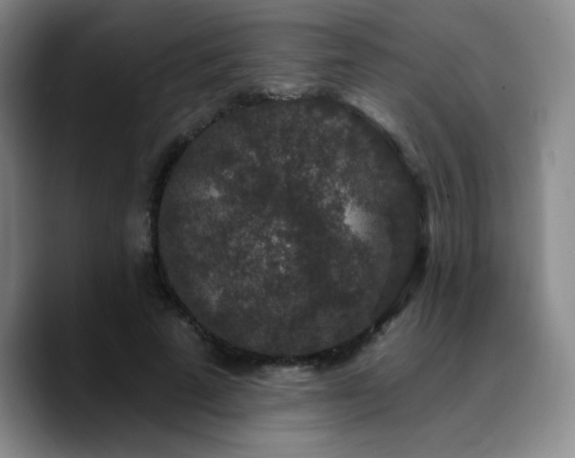 X0000090730689200707201409