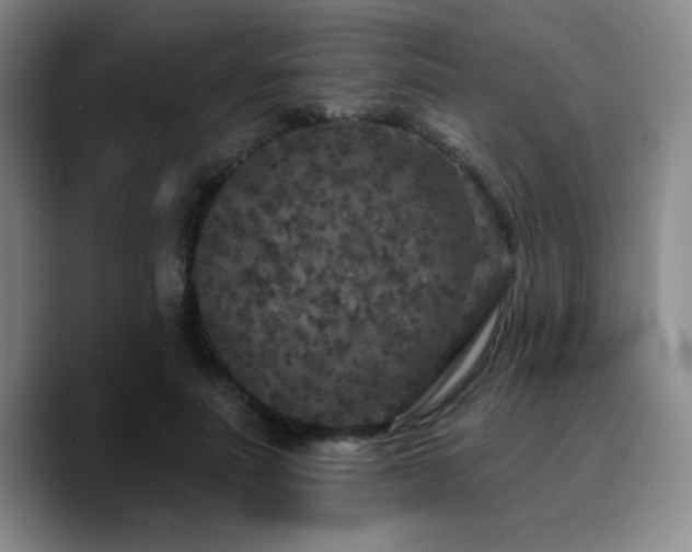 X0000090730691200707201409