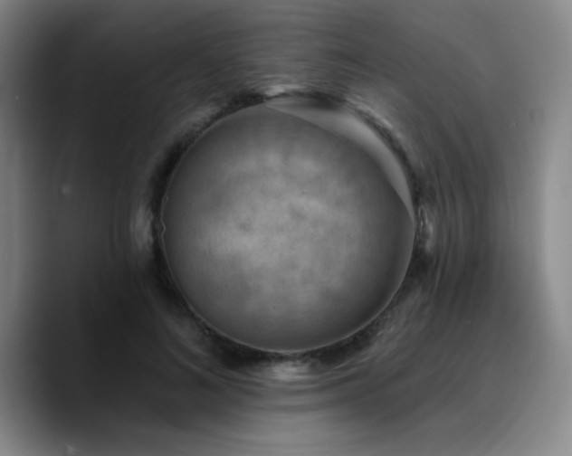 X0000090730692200707201409