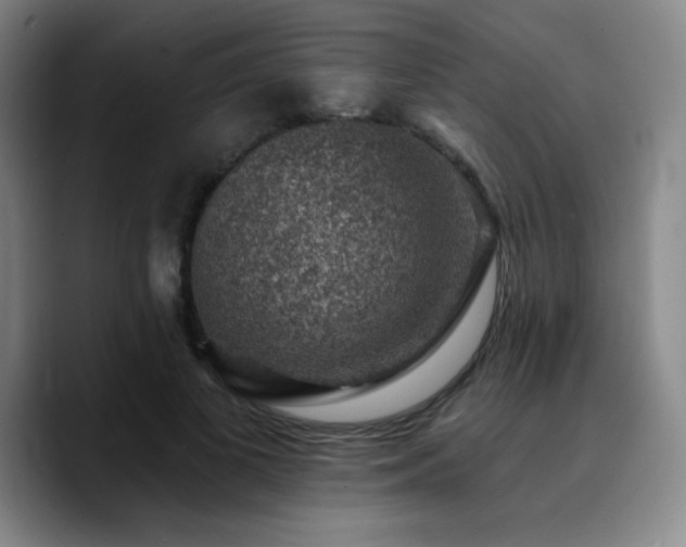X0000090730693200707201409