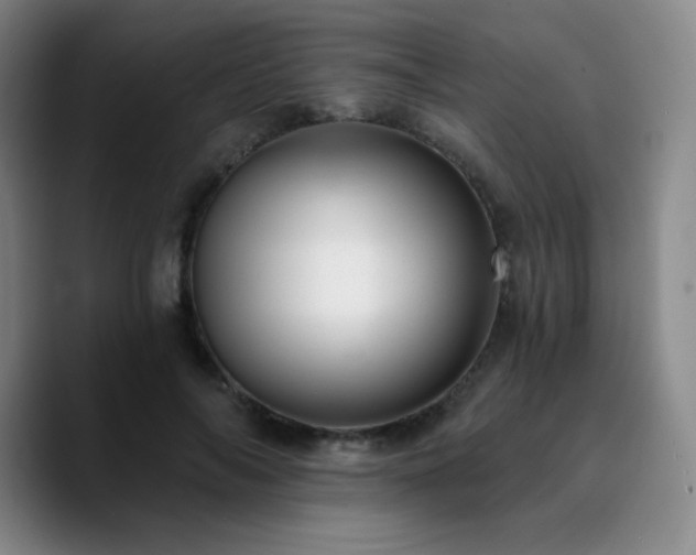 X0000090730694200707201409