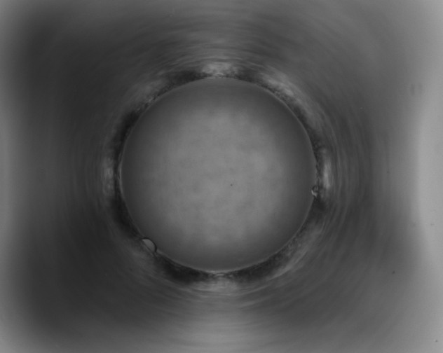 X0000090730696200707201409