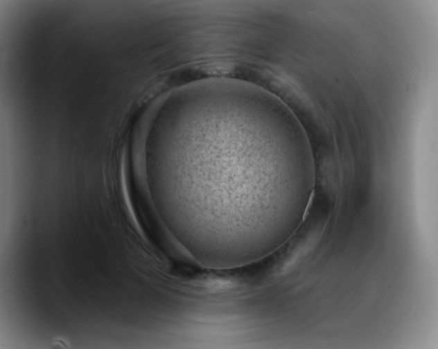 X0000090730697200707201409