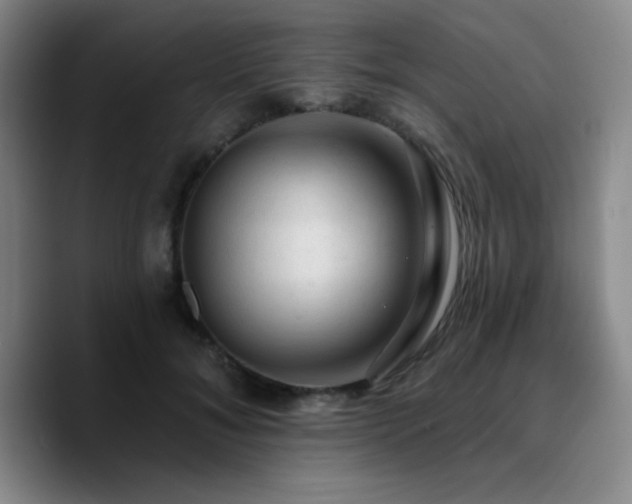 X0000090730700200707201409